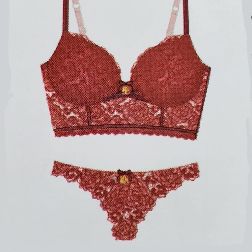 Daisy Fuentes Bra Red 34B Pushup Pantie Set Longline Lace NWT - Picture 2 of 9